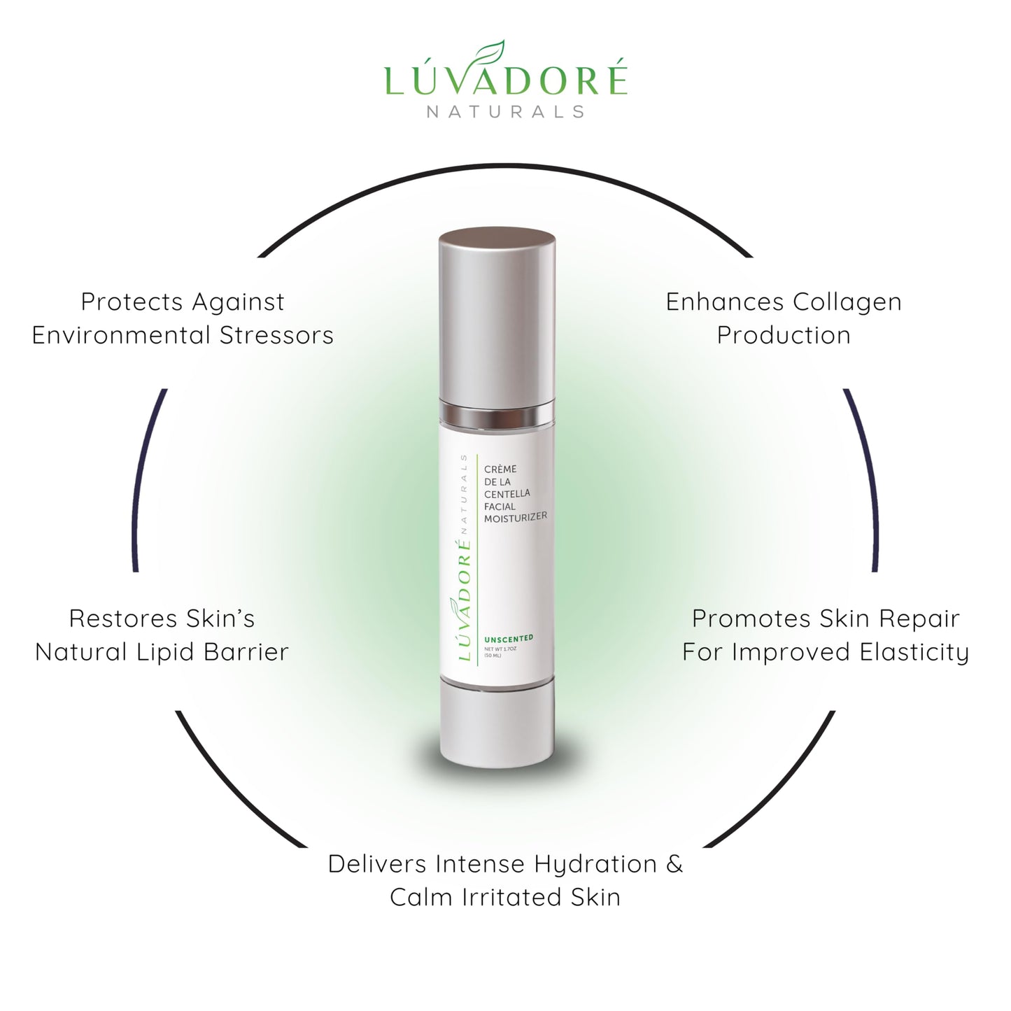 Luvadore Naturals Crème De La Centella Moisturizer – Hydrating & Repairing Centella Soothing Cream with Aloe, Shea Butter & Green Tea, Thick Moisturizer for Face (50ml)