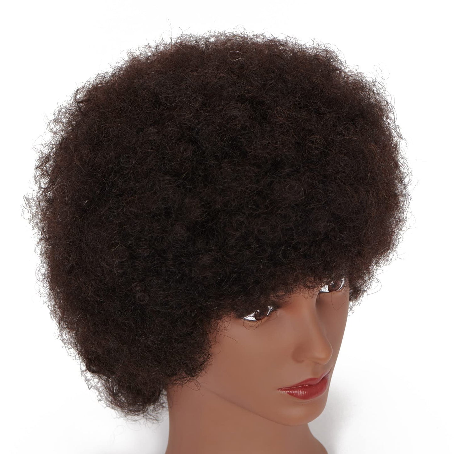 Hairingrid Mannequin Head African American with 100% Human Hair Cosmetology Afro Hair Manikin Head for Practice Styling Braiding and Free Clamp Holder (R72026B0210H)