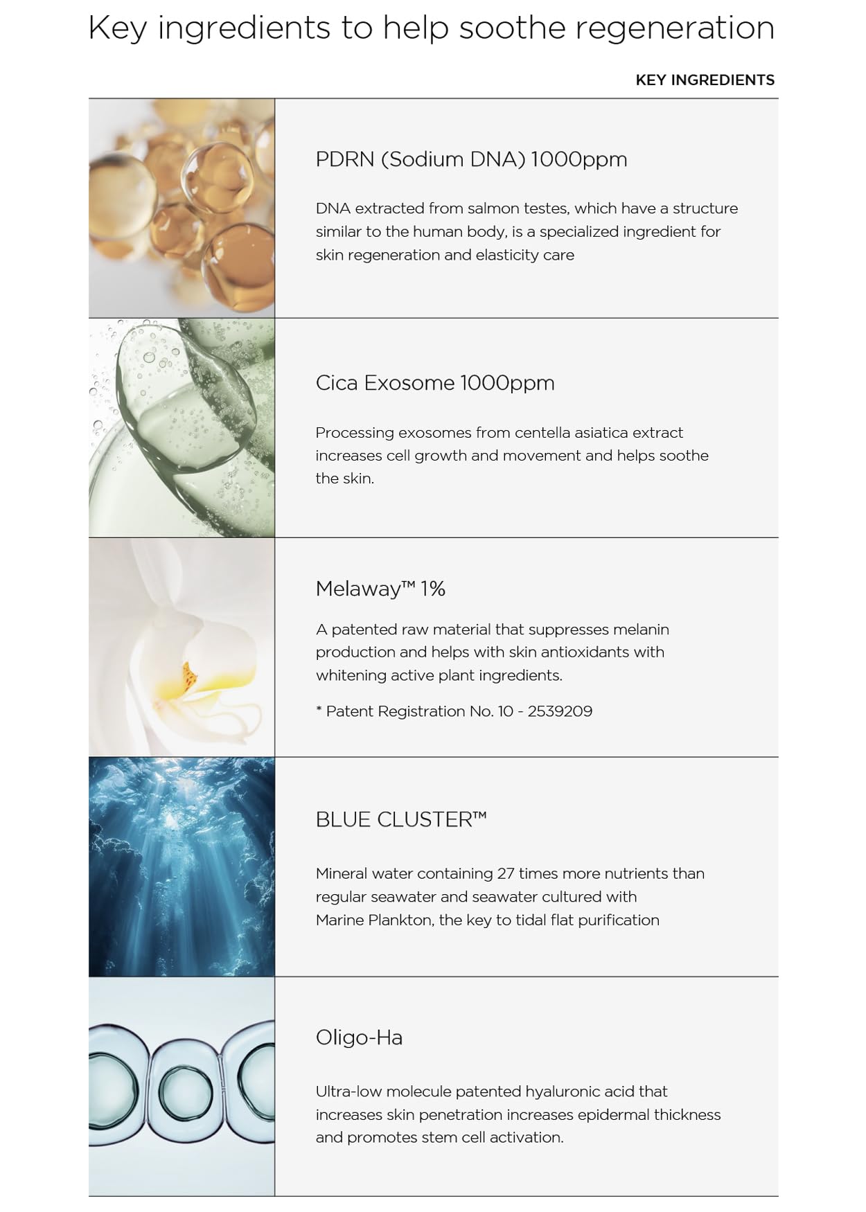 FINDIVE Official PDRN CICA Exosome Bubble Toner, PDRN (Sodium DNA) 1,000ppm, CICA Exosome 1,000ppm, Marin Collagen, Soothes, Regenerates Skin, Korean Skincare 5.07fl.oz