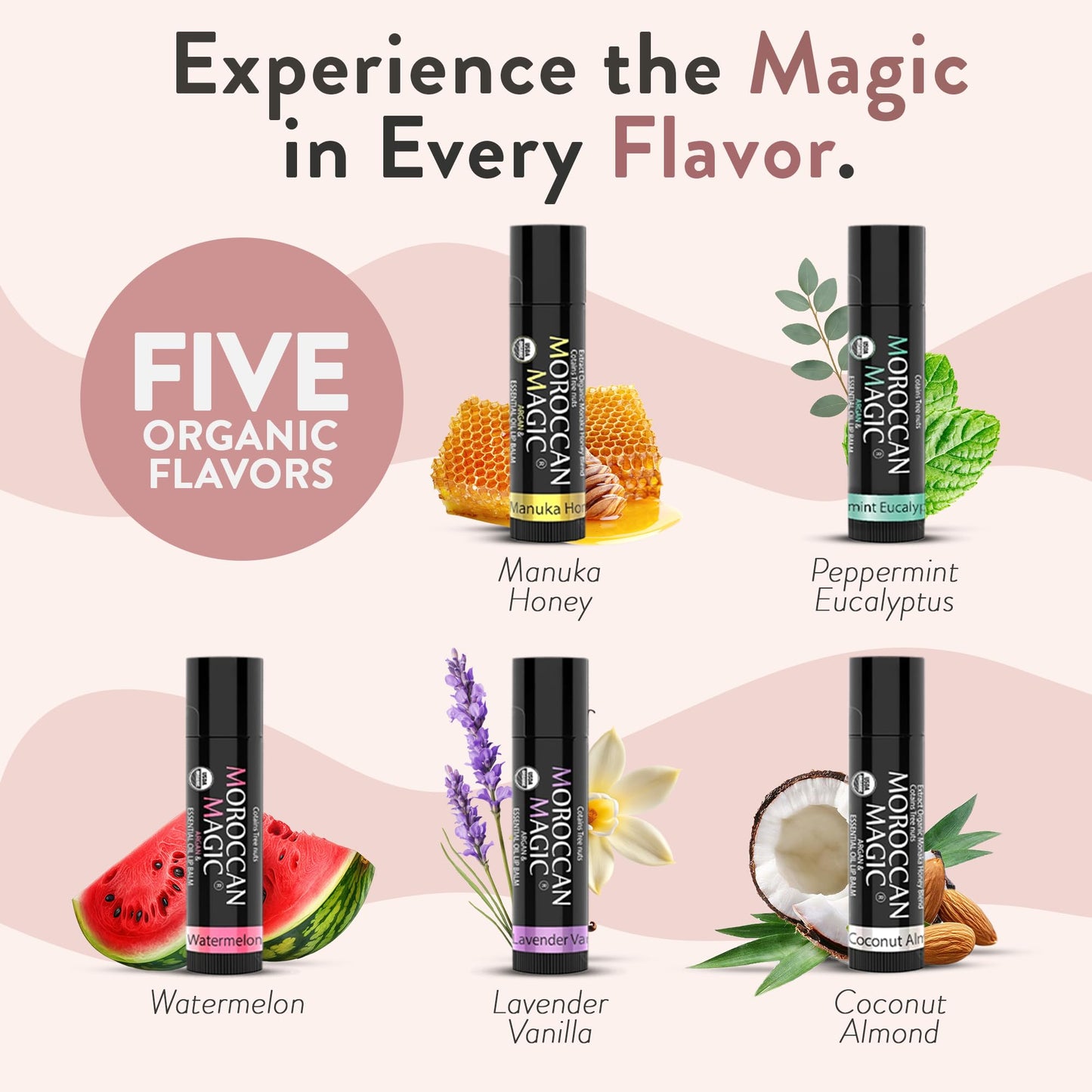 Moroccan Magic Organic Lip Balm & SPF15: 14 Piece Variety Pack Gift Set | Organic Argan and Essential Oils | Smooth | Natural | Non-Toxic | Cruelty Free | chapstick bulk lip balm | 14 Pack