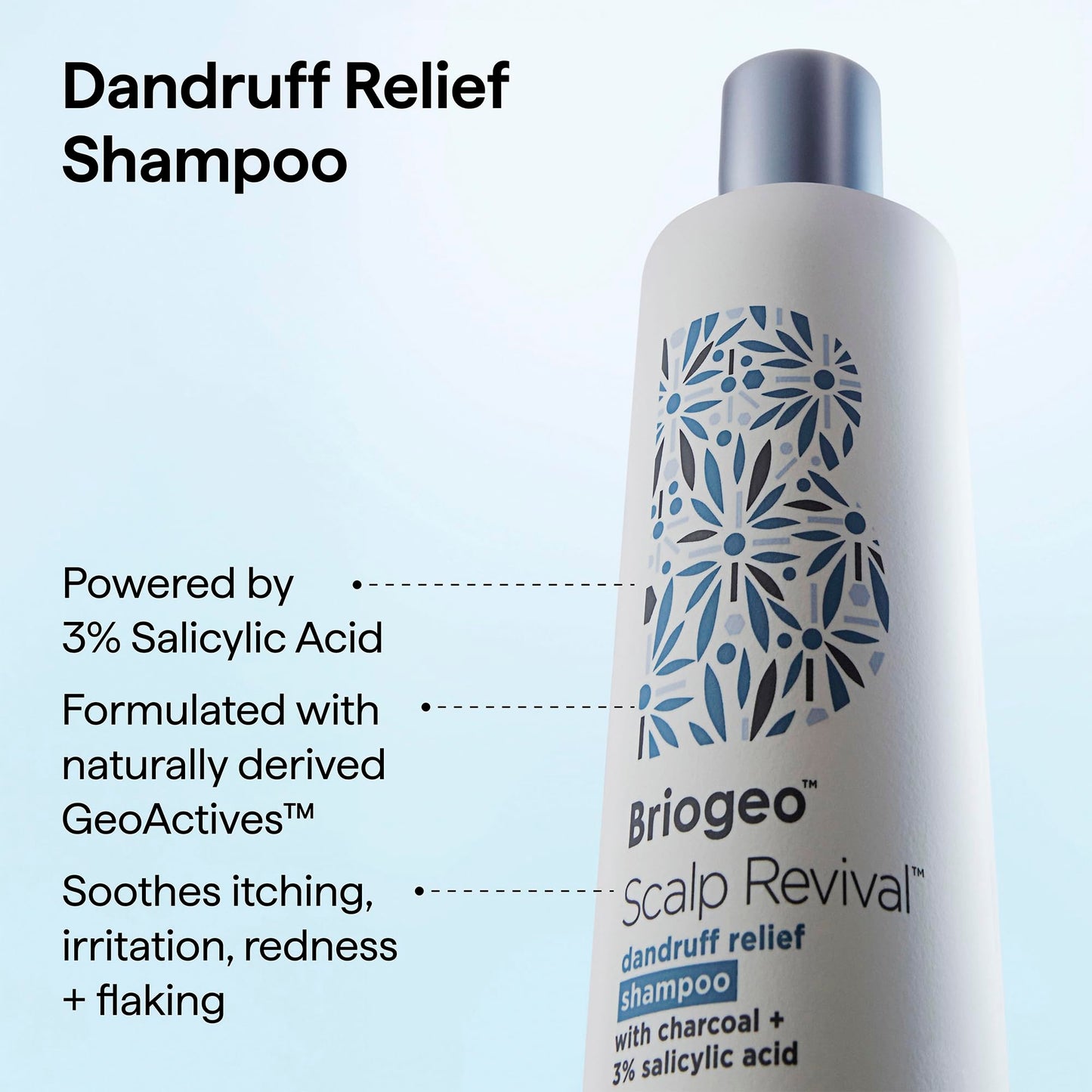 Briogeo Scalp Revival Dandruff Relief Shampoo | Charcoal + 3% Salicylic Acid | Daily Anti-Dandruff Shampoo for Flakes, Itch & Irritation | Color-Safe | Vegan & Cruelty-Free | 8.4 fl oz
