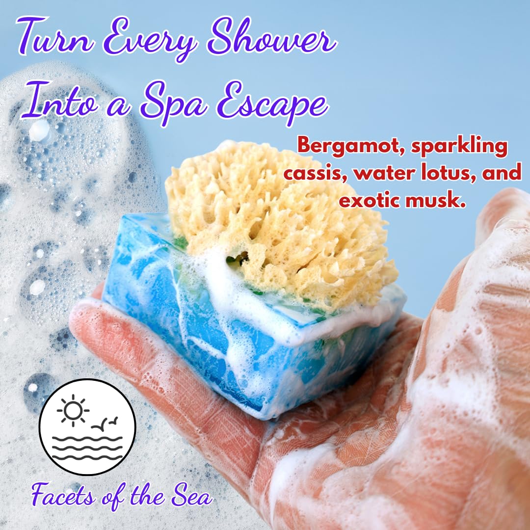 Primal Elements Facets of the Sea SpongeBar Soap (Pack of 2)