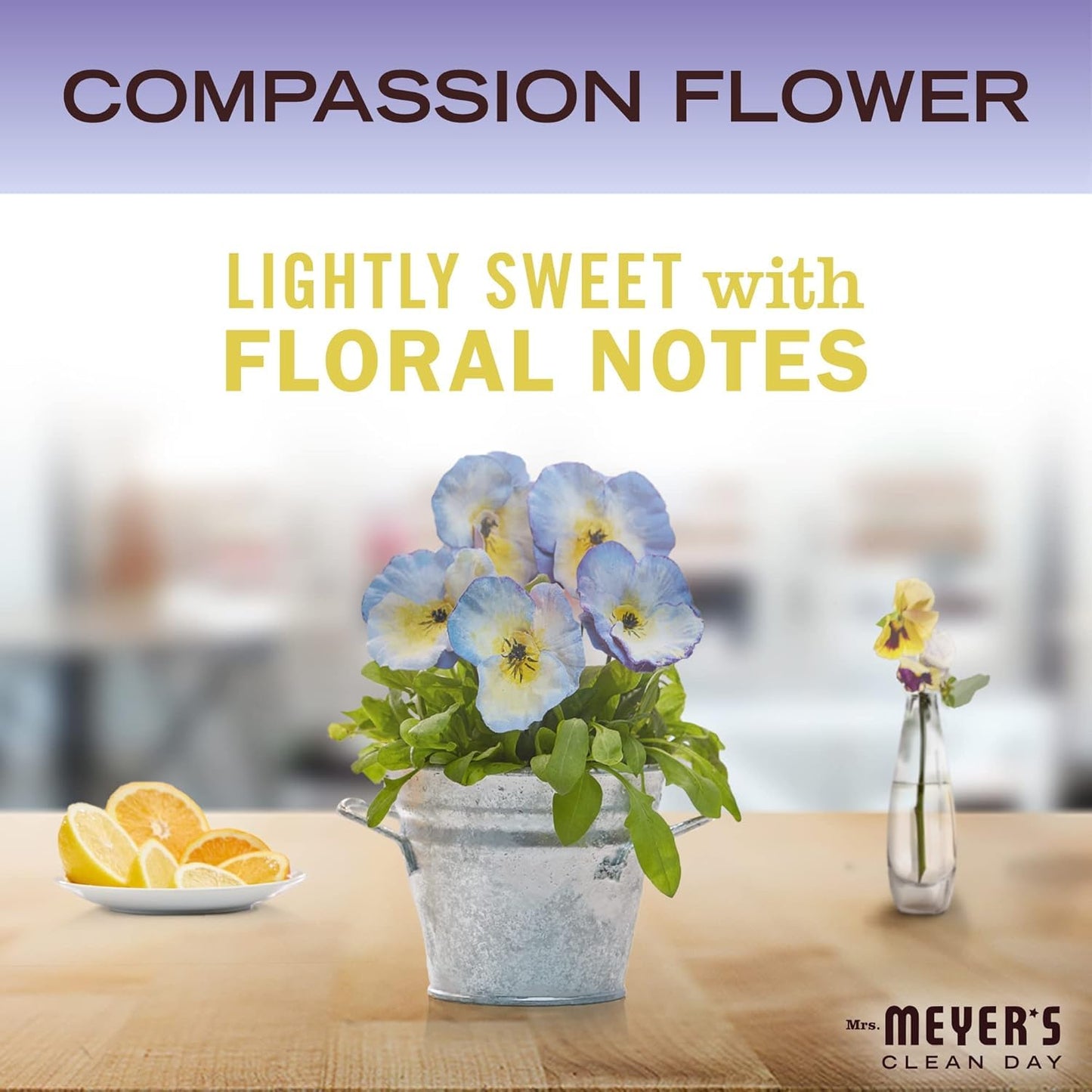 Mrs. MEYER'S CLEAN DAY Liquid Hand Soap 4 Pack Variety, Honeysuckle, Rain Water, Compassion Flower, & Lemon Verbena, 12.4 OZ Each, 1 CT Variety Pack