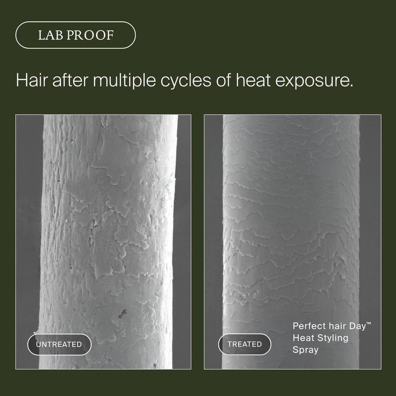 Living proof Perfect Hair Day Heat Styling Spray – Smoothness for 48 Hours, Heat Protection up to 450°F, Ultra-Fine Mist for Damp or Dry Hair, 5.5 oz