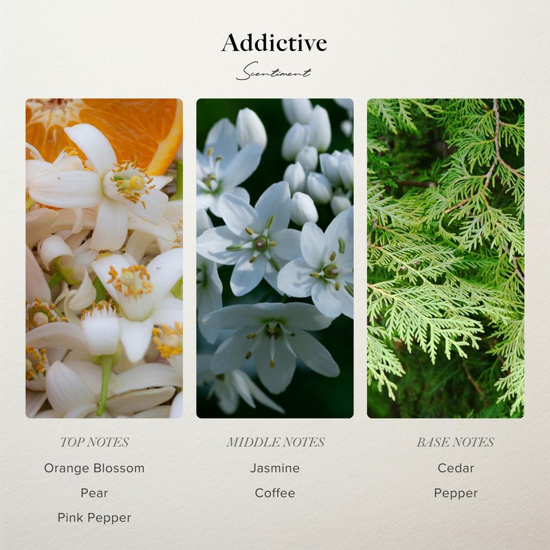 Scentiment Addictive Eau De Parfum for Women - Designer Inspired Fragrance | 1.69 fl oz (50 mL)