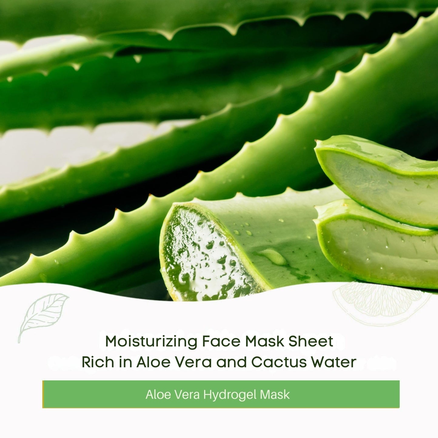 Oh K! Hydrogel Mask - Aloe Vera - Moisturizing Face Mask Sheet - Hydrating Face Sheets - Rich in Aloe Vera and Cactus Water - Korean Skincare - 1 Pc (Pack of 3)
