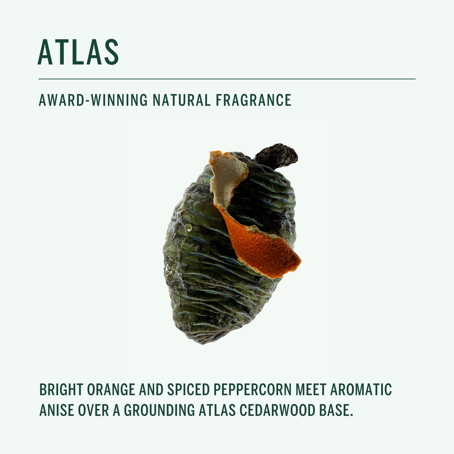 CORPUS - Natural Plant-Based Deodorant | Unisex, Non-Toxic, Made In The USA