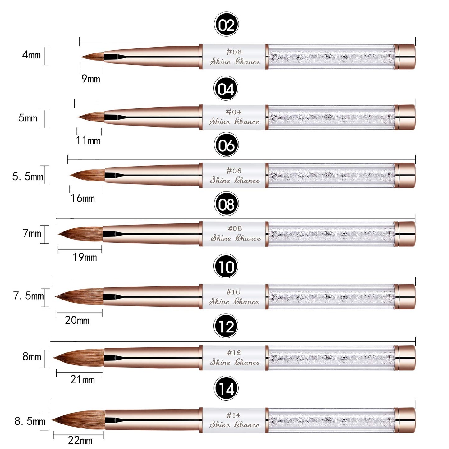 Shine Chance 2Pcs Acrylic Nail Art Brushes Size 8 10, 100% Pure Kolinsky Hair Oval Nail Brush for Acrylic Application, Professional Nail Extension Manicure Tool Striping Nail Drawing Pen for Home