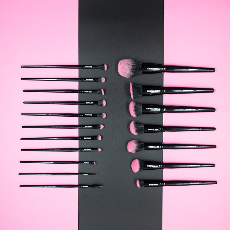 SHOPiiLAND 18-Piece Vegan Makeup Brush Set – Black & Pink Case, Soft Synthetic Bristles, Cruelty-Free, Ideal for Liquid, Powder, Cream & Bronzer; Includes Kabuki, Blender, Blush & Eyeshadow Brushes