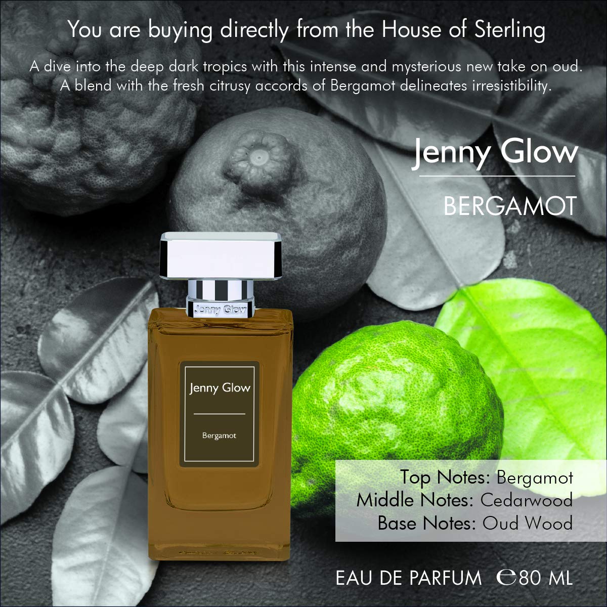Bergamot Fragrance for Unisex - 2.7 oz EDP Spray | Refreshing Citrus Scent