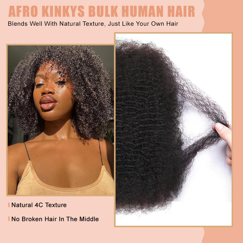 Afro Kinkys Bulk 100% Human Hair For Twist Dreadlock Extensions Afro Kinky Curly Human Braiding Hair For Repair Crochet Dreads Loc Twist Braids (#1B, 16Inch-50Gram)