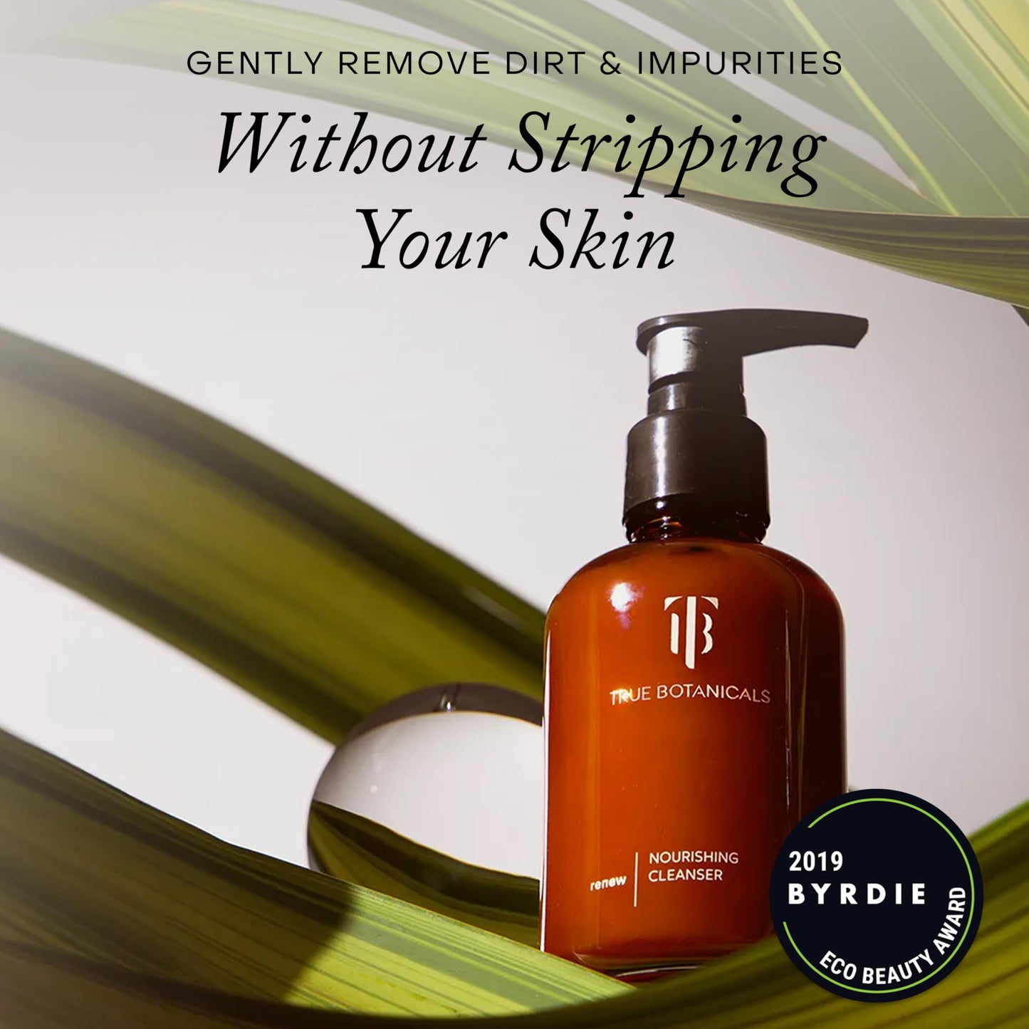 True Botanicals Renew Nourishing Cleanser | Gently Moisturizes + Refreshes Dry Skin | All Skin Types | Dermatologist Tested, Hypoallergenic, All Natural, Vegan | 4 fl oz | 118 ml