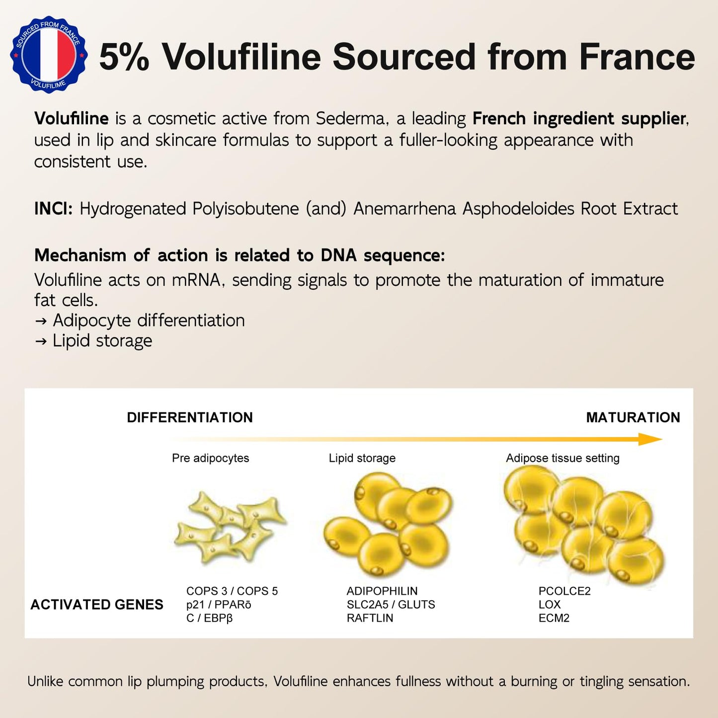 5% Volufiline Lip Serum & Gloss Hydrating Lip Care
