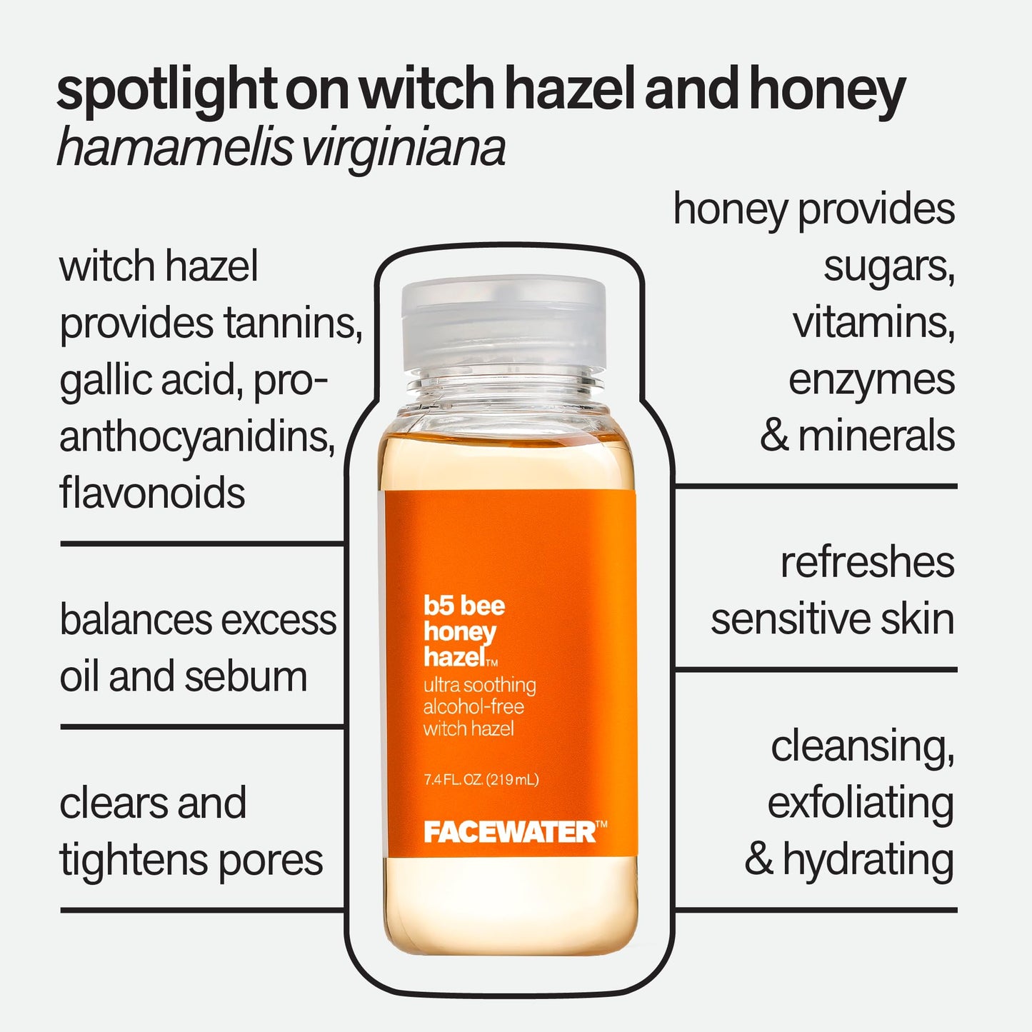 Facewater B5 Bee Honey Hazel Ultra Soothing Alcohol Free Witch Hazel