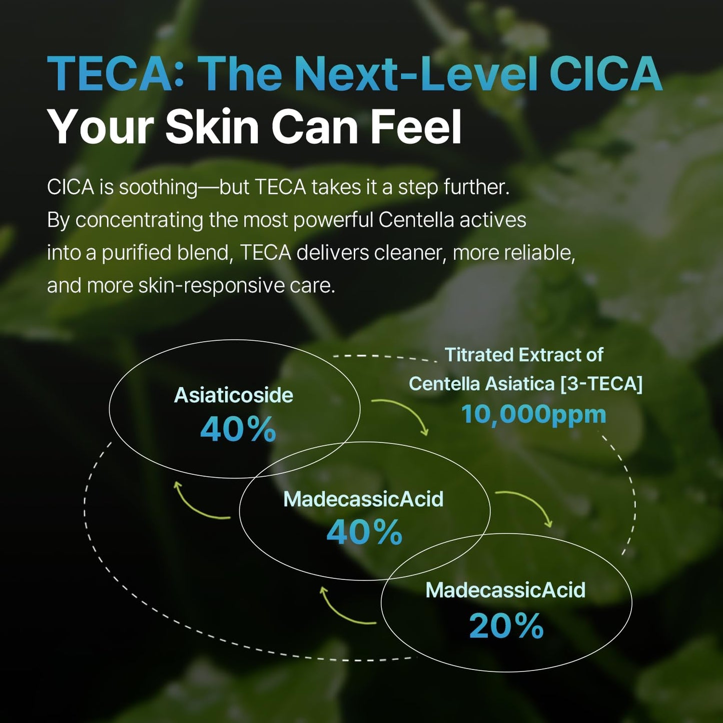 MILDLAB Centella Oint Cream | Facial Cream for Troubled & Sensitive Skin with TECA, Niacinamide, Centella Exosome | Spot Care, Korean Skin Care (30 g/1.05 oz)