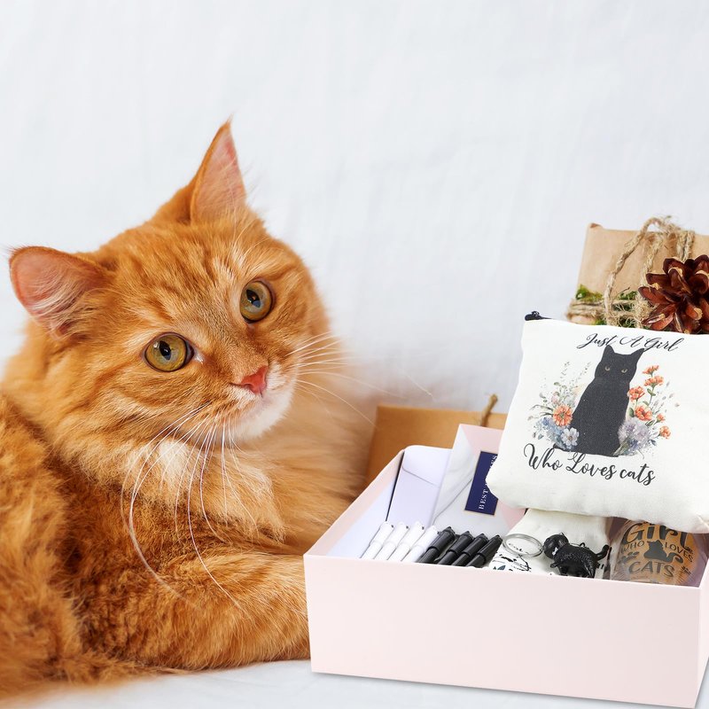 Aliceset 62 Pcs Cat Lover Gifts for Women Sets Include Tote Makeup Bag 18oz Glass Coffee Mugs Socks Pen Keychain Greeting Cards Cat Themed Gifts for Women Friend
