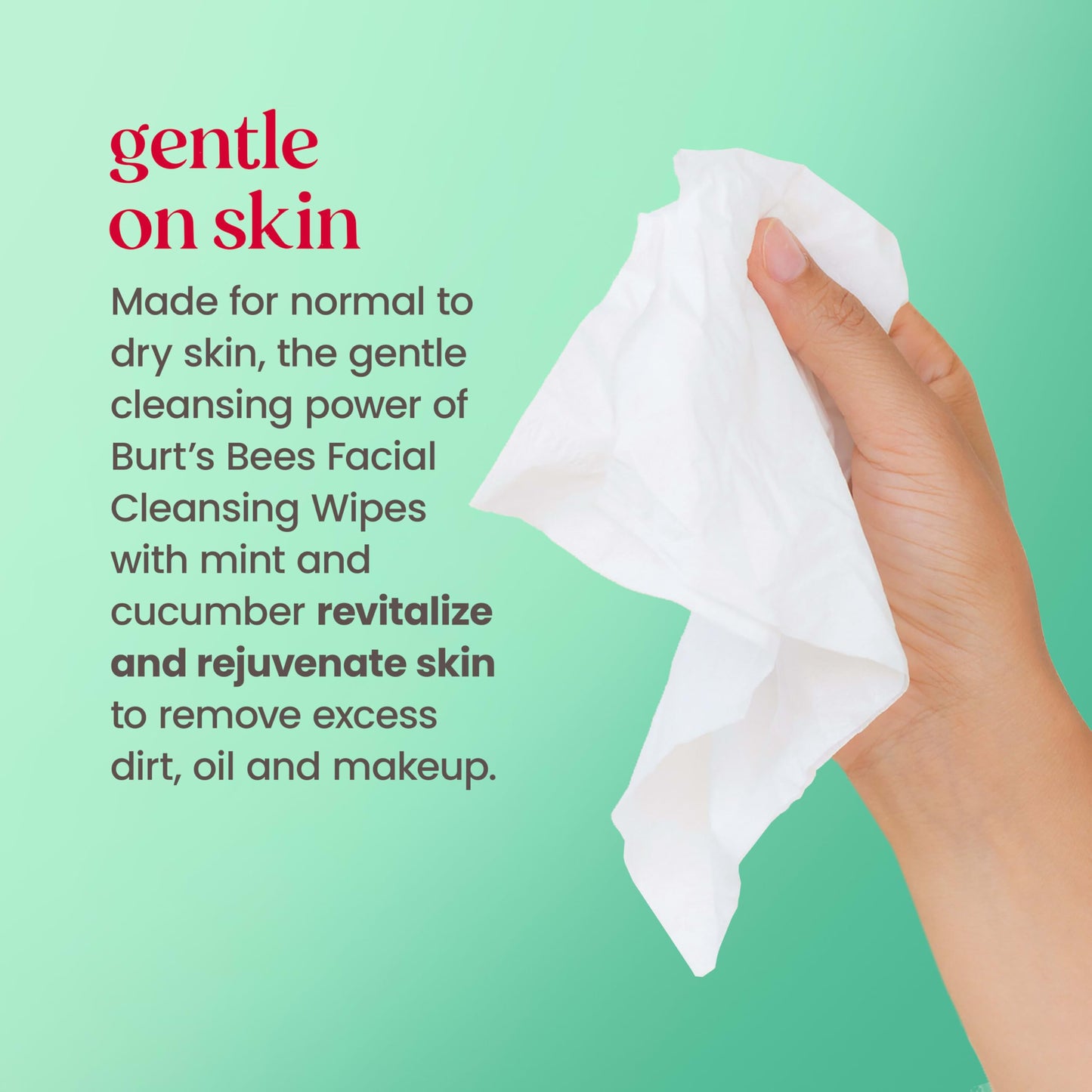 Burt’s Bees Refreshing Cucumber & Mint Facial Towelettes, 100% Plant Based Cloths; 99% Natural Origin; Removes Makeup and Cleanses; No Need to Rinse; 30 Ct (Pack May Vary)