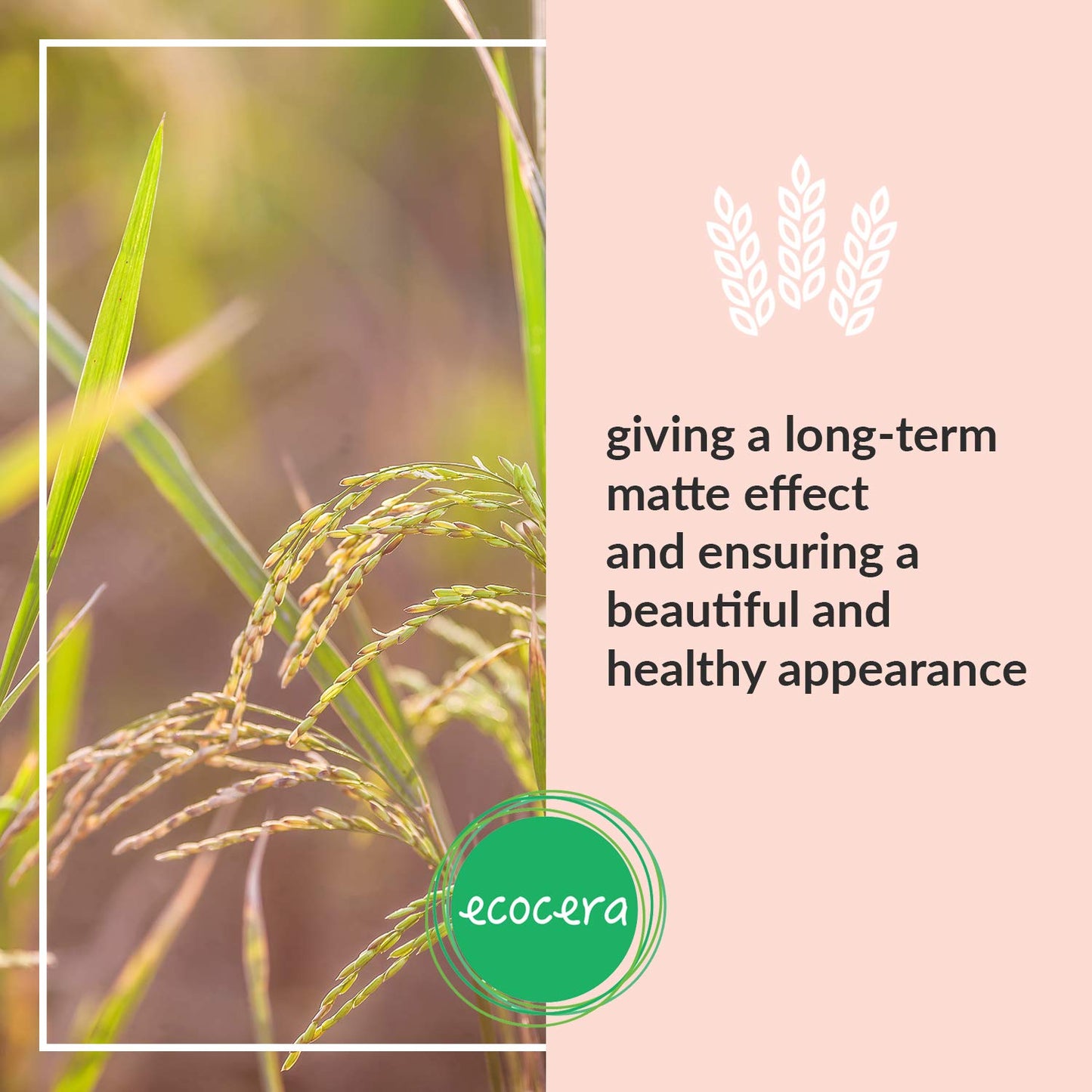 ECOCERA Rice Loose Powder Perfect For Oily And Combination Skin Hypoallergenic Delicate Transparent Light - Race Fixer - 15g