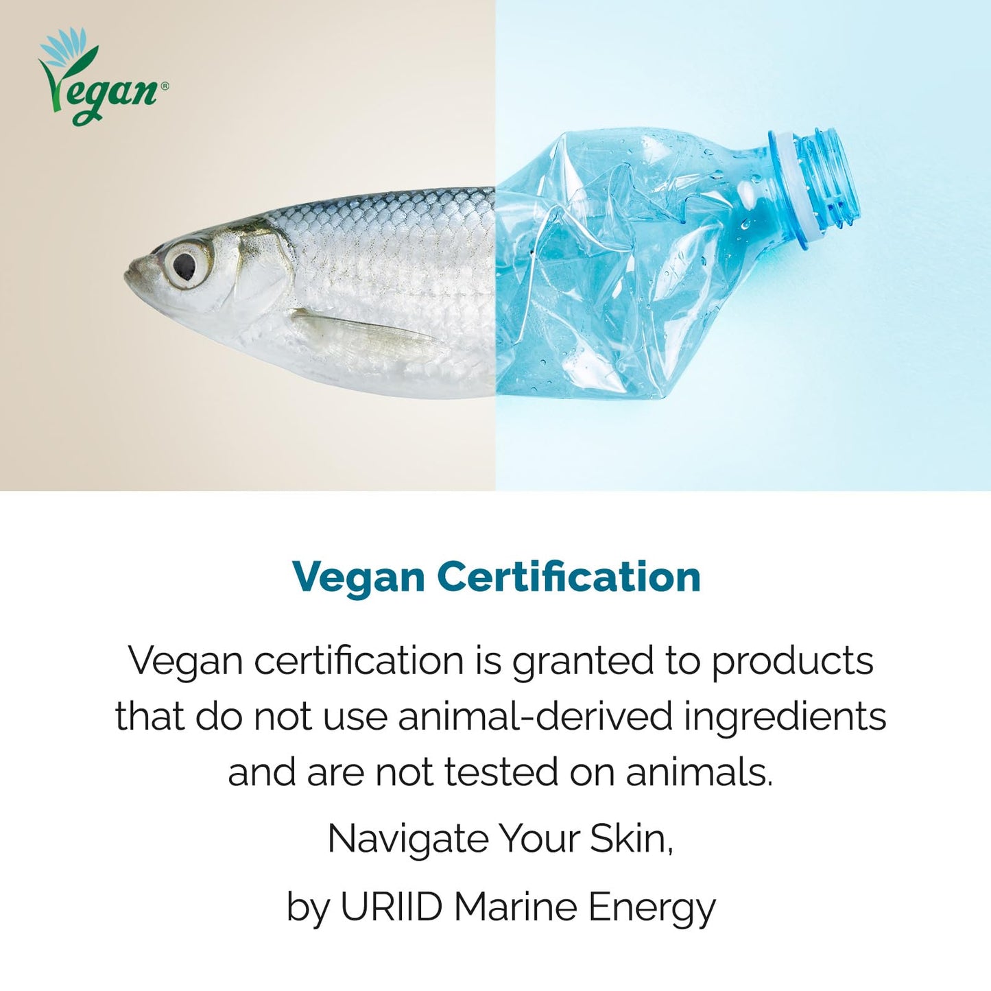 URIID Marine Energy Cream – Vegan Hydrating Face Moisturizer, Anti-Wrinkle & Brightening, Marine Algae & Deep-Sea Minerals, Lightweight Gel-Cream for All Skin Types – 75ml (2.53 Fl Oz)