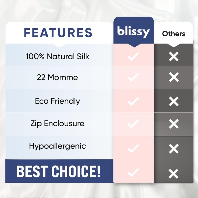 Blissy Silk Pillowcase - 100% Pure Mulberry Silk - 22 Momme 6A High-Grade Fibers - Silk Pillow Cover for Hair & Skin - Regular, Queen & King (Silver, Queen)