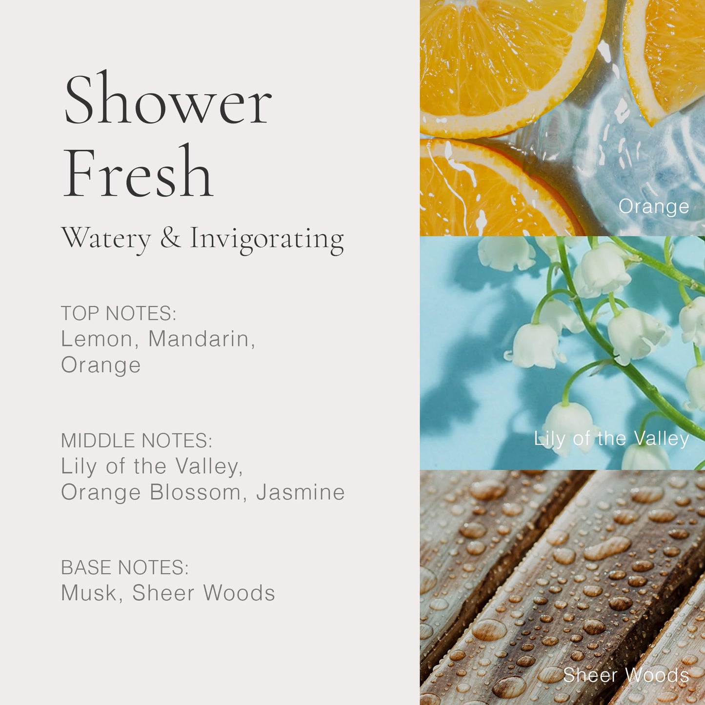 CLEAN CLASSIC Shower Fresh 30mL