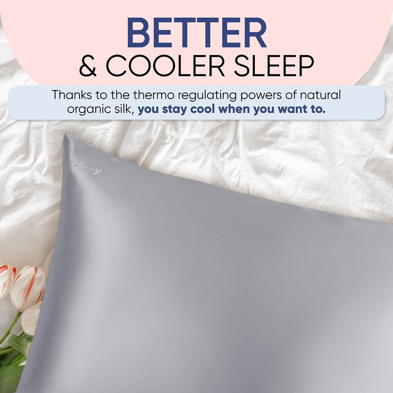 Blissy Silk Pillowcase - 100% Pure Mulberry Silk - 22 Momme 6A High-Grade Fibers - Silk Pillow Cover for Hair & Skin - Regular, Queen & King (Silver, Queen)