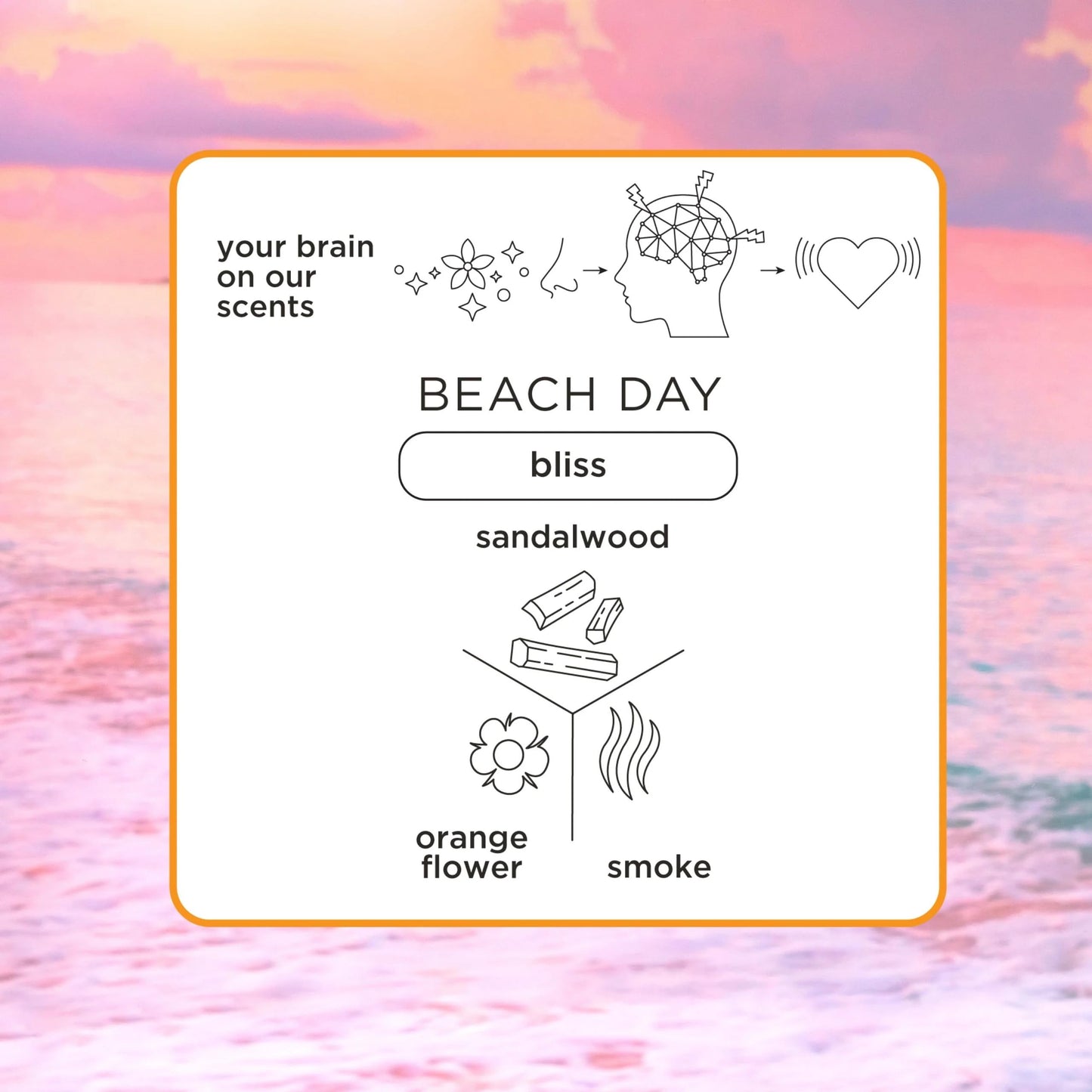 Pacifica Iconic Scents Gift Box – Montana Sky, Beach Day & Passionfruit – Nature-Inspired Fragrance Collection, Vegan & Cruelty-Free