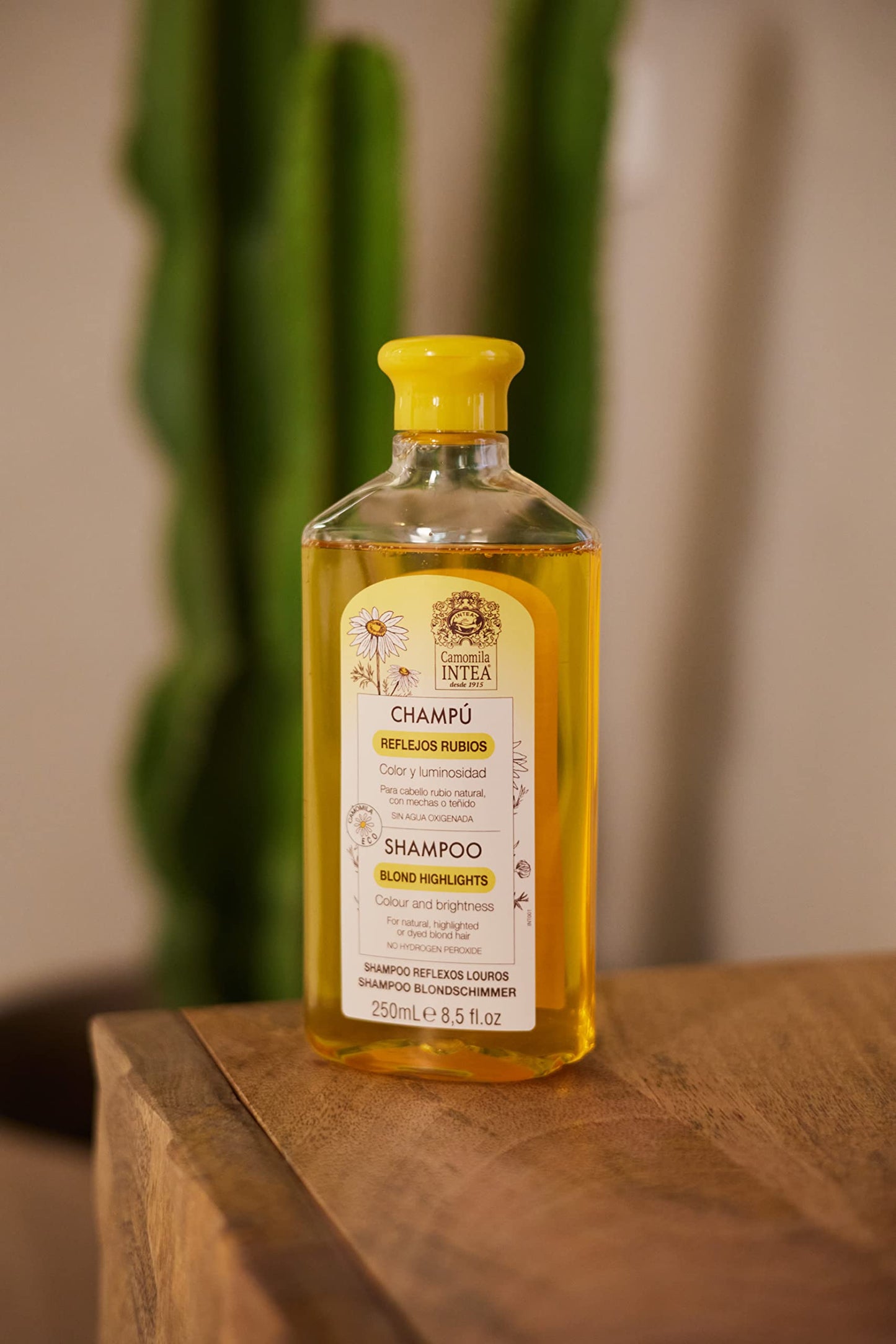 Intea Blonde Shampoo