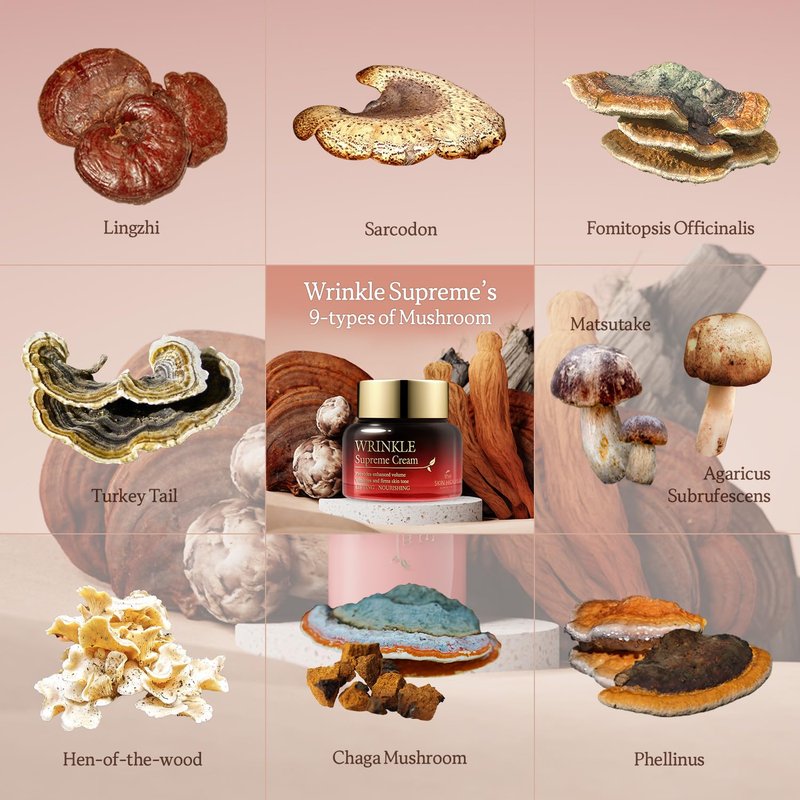 THE SKIN HOUSE Wrinkle Supreme Cream 1.69 fl.oz Korean Fermented Red Ginseng, Adenosine, Mushrooms l Wrinkles, Fine Lines l Korean Skin Care, 50ml