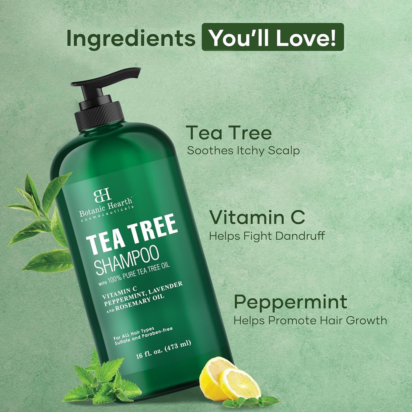 Botanic Hearth Tea Tree Shampoo, Vitamin C, Peppermint, Lavender and Rosemary Oil, Fights Dandruff and Dry Scalp, 16 fl oz