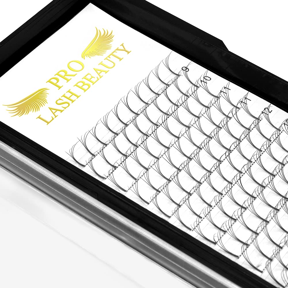 Premade Volume Eyelash Extensions 4D-D-0.07-12 Long Stem Premade Fans Eyelash Extensions Volume Lash Extensions .07 .10 Premade Volume Fans C D Curl Fans(4D-D-0.07,12 mm)