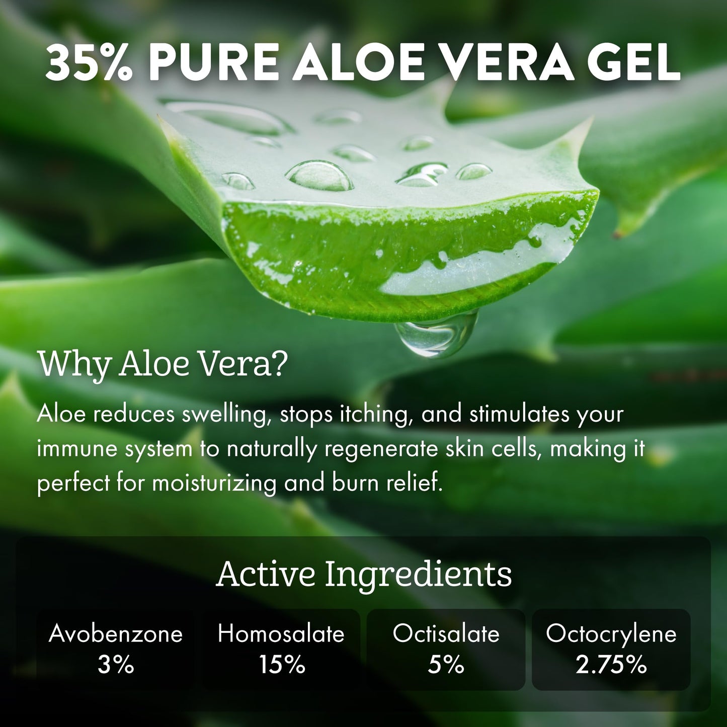 Aloe Up Sport Spray Sunscreen SPF 30 – Broad Spectrum Sunblock with Hydrating Aloe Vera Gel – Fast Absorbing, No White Cast, Reef Friendly, Water Resistant for up to 80 Minutes, Fragrance Free – 6 Oz