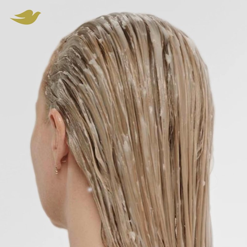 Dove Bond Strength Damage Therapy System | 4-Piece Hair Repair Set with Shampoo, Conditioner, Serum & Mask