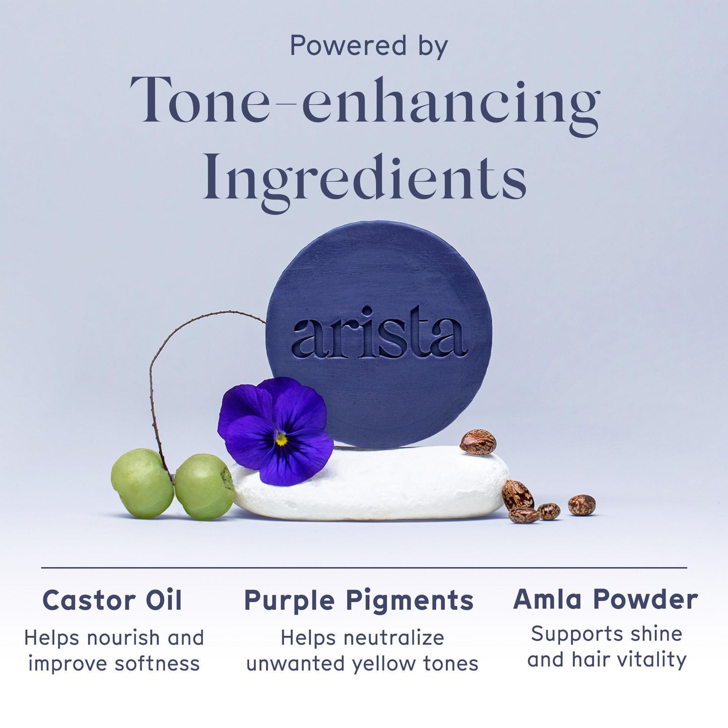 Arista Purple Shampoo Bar, Amla Fruit Powder, Purple Toner & Castor Oil, Moisturizing & Plastic Free Hair Soap, Sulfate Free Solid Shampoo Puck for Grey Hair
