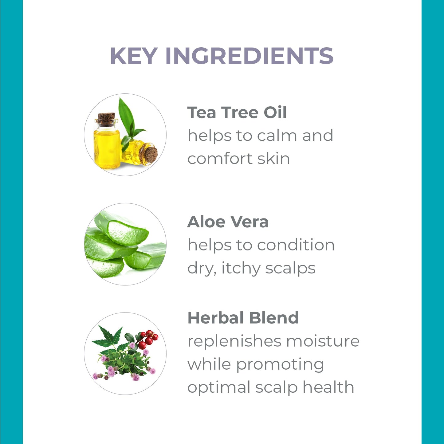 DERMA-E Scalp Relief Treatment – Dry Scalp Moisturizer Serum – Tea Tree Oil, Menthol and Aloe Vera Cool and Soothe Itchy Scalp and Promote Scalp Health, 1 Fl Oz