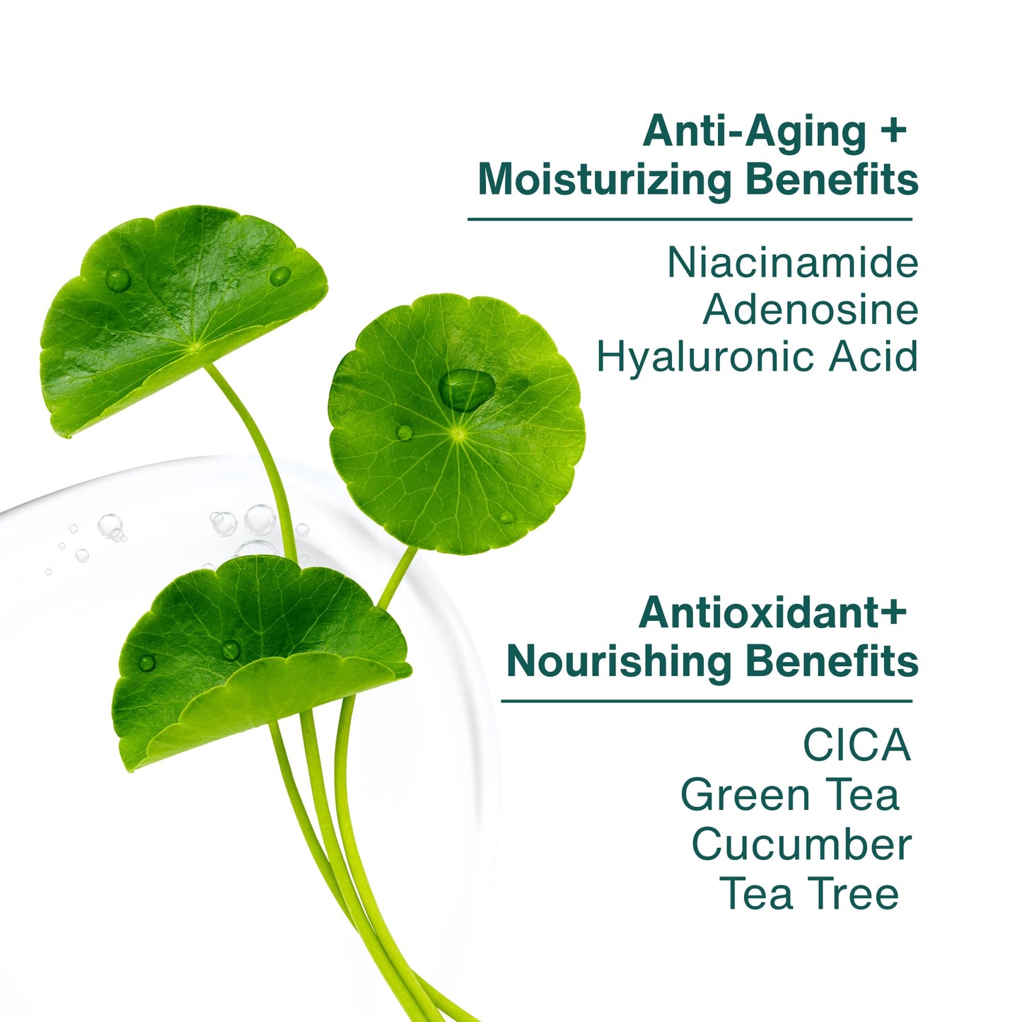 MANIA HOLIC Cheek Patch - Hydrogel Facial Toner Pads for Hydrating and Cooling Flushed Skin with Green Tea and CICA, Moisturizing Korean Skincare, 6.34 fl oz. (60 count)