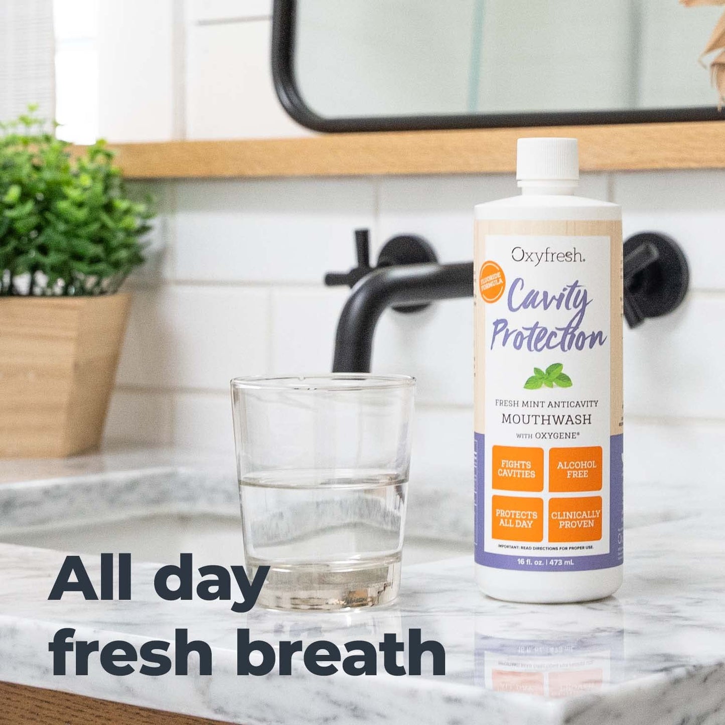 Oxyfresh Cavity Protection Fluoride Mouthwash – Anticavity Mouthwash for Sensitive Teeth – Non-Staining, Alcohol Free – Lasting Fresh Breath. 16 oz. (Pack of 2)