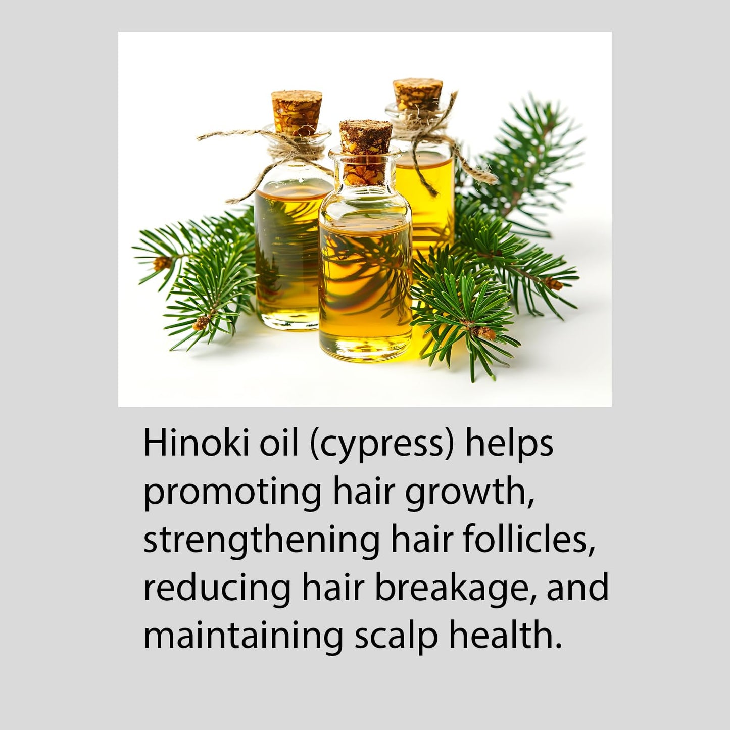 Hayashi Hinoki Conditioner, 10.1 Fluid Ounce