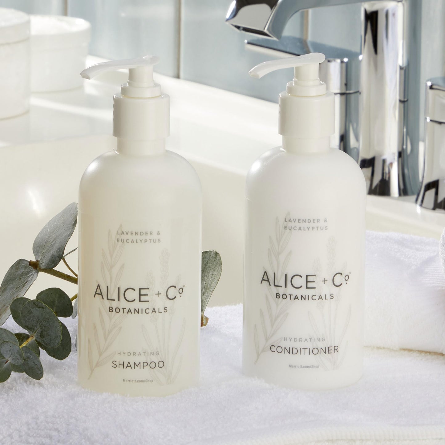 Alice + Co. Shampoo & Conditioner | Lavender & Eucalyptus | Fairfield by Marriott | Hotel Bath Amenities | 8.5 oz Bottles | Hair Care Set