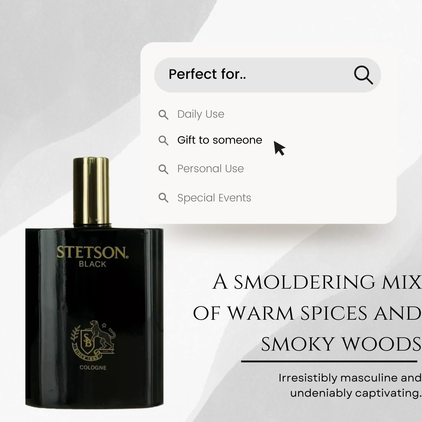 Stetson Black Cologne for Men Spray 3.4 Ounces