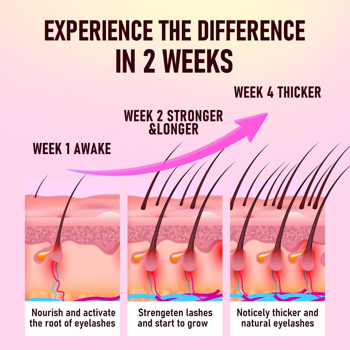 Lash Serum for Eyelash Growth – Advanced Lash & Brow Enhancer for Longer, Fuller-Looking Lashes, Nourishes and Strengthens for Visible Results, Gentle Formula for Sensitive Eyes