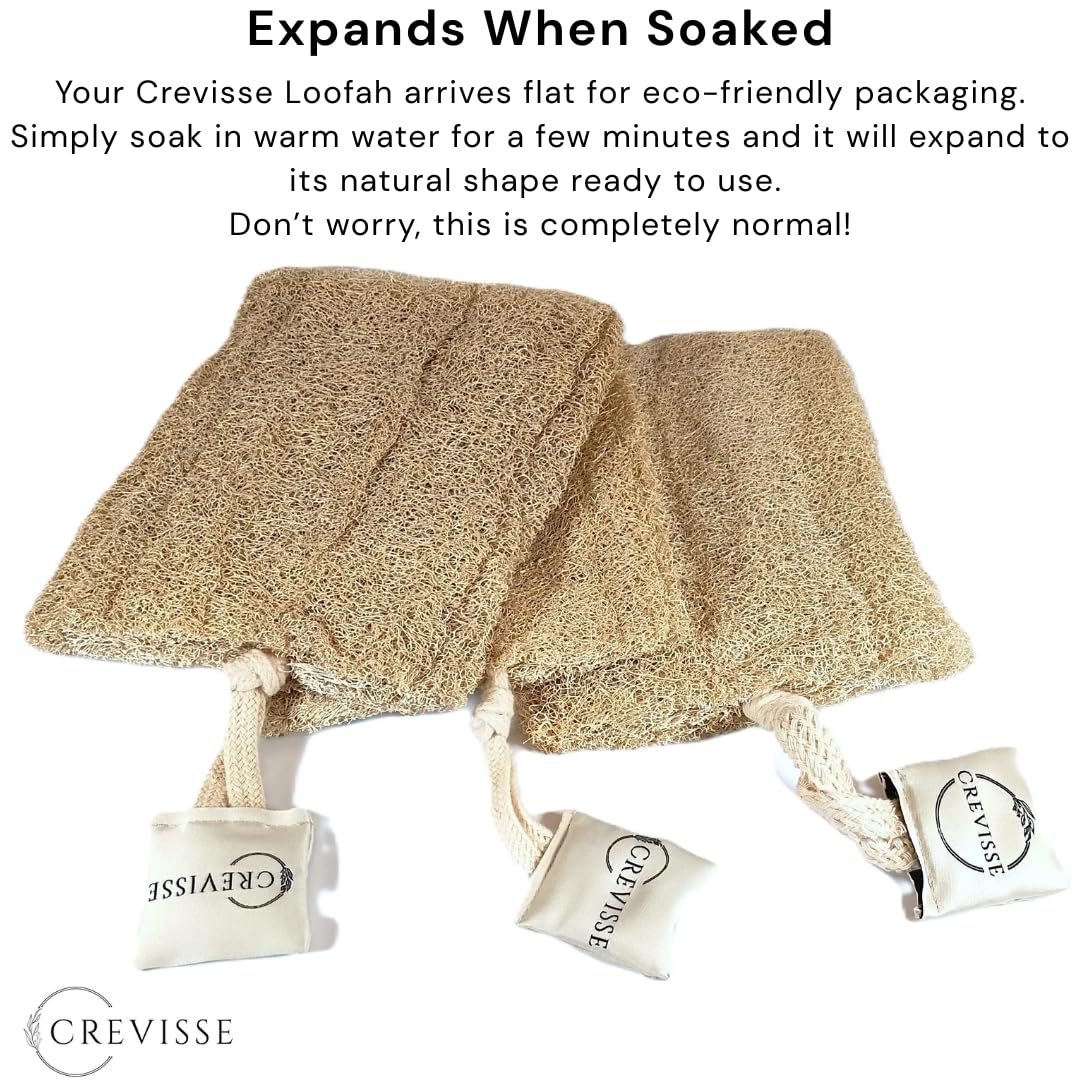 Crevisse Natural Egyptian Loofah Sponge – Exfoliating Shower Body Scrubber (Pack Options) (3 Count (Pack of 1))