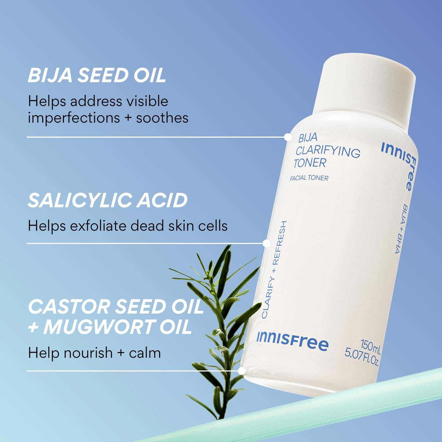 innisfree Bija Toner with Salicylic Acid, Korean Skincare for Pore Care, Smoothing, Clarifying, Oil Control