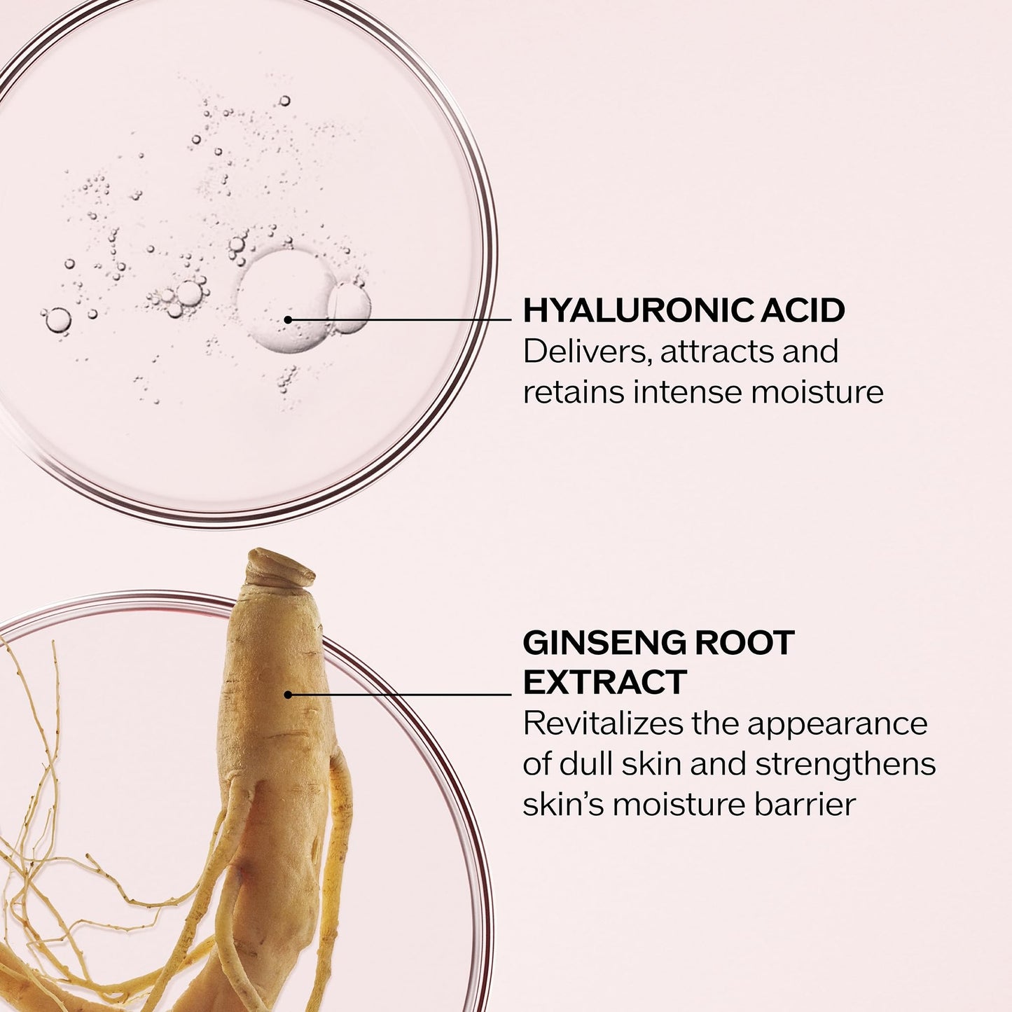 Shiseido Essential Energy Hydrating Day Cream Broad Spectrum SPF 20 - 50 mL - Visibly Reduces the Look of Pores & Fine Lines - With Hyaluronic Acid - 24-Hour Hydration - All Skin Types