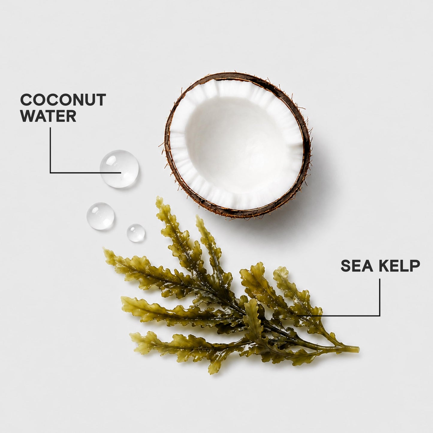 Joico HydraSplash Hydrating Shampoo | For Fine, Medium, Dry Hair | Replenish Moisture | Add Hydration & Softness | With Sea Kelp & Coconut Water | 33.8 Fl Oz