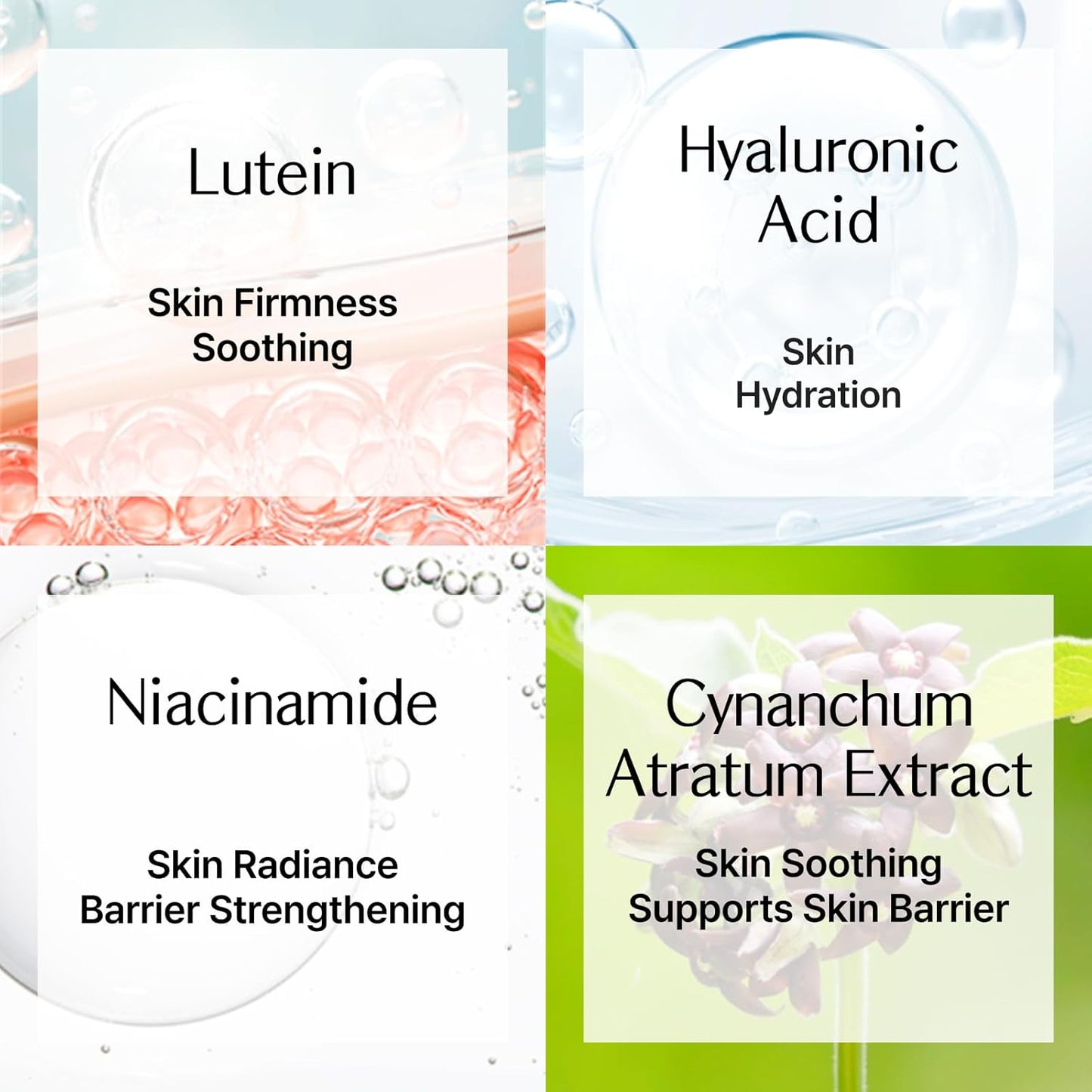 Lutisan Facial Moisturizer - Lutein & Niacinamide Daily Cream for Hydration & Soothing Care | 1.69 fl. oz (50ml)
