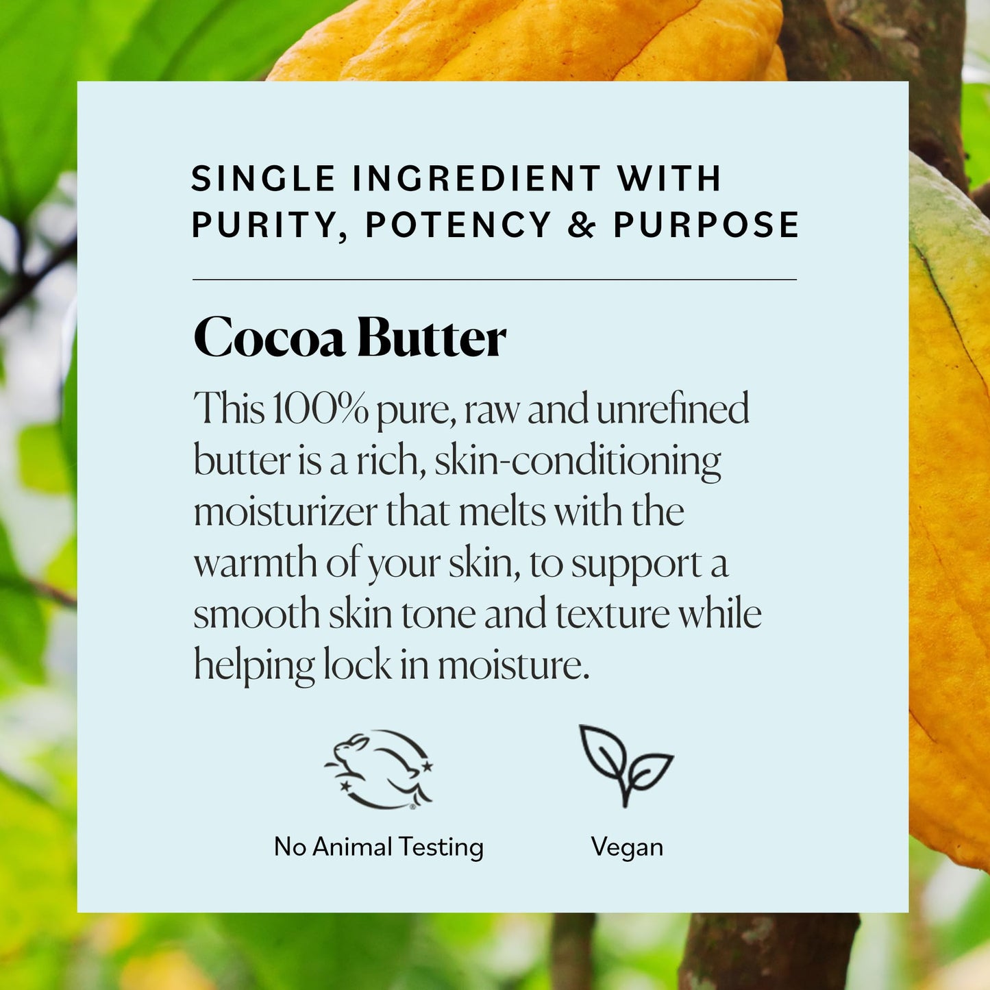 Sky Organics Raw Cocoa Butter for Body (16 oz) 100% Pure & Unrefined Solid Butter - Deeply Hydrates & Conditions Very Dry Skin - Promotes Smooth Tone & Texture - Suitable for Tight or Extra Dry Skin