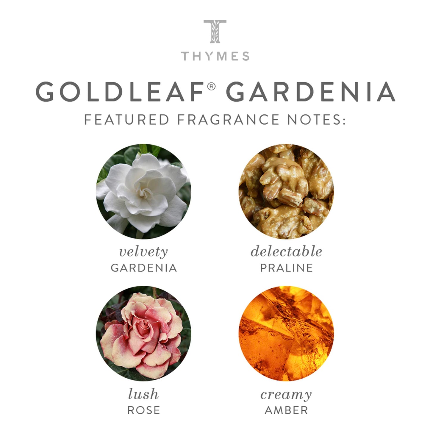 Thymes Home Fragrance Mist – Room Air Fresheners for Home Long Lasting – Air Freshener Spray – Premium Home Fragrance – Floral Notes of Gardenia, Lush Rose, & Fresh Jasmine (Goldleaf Gardenia, 3 oz)