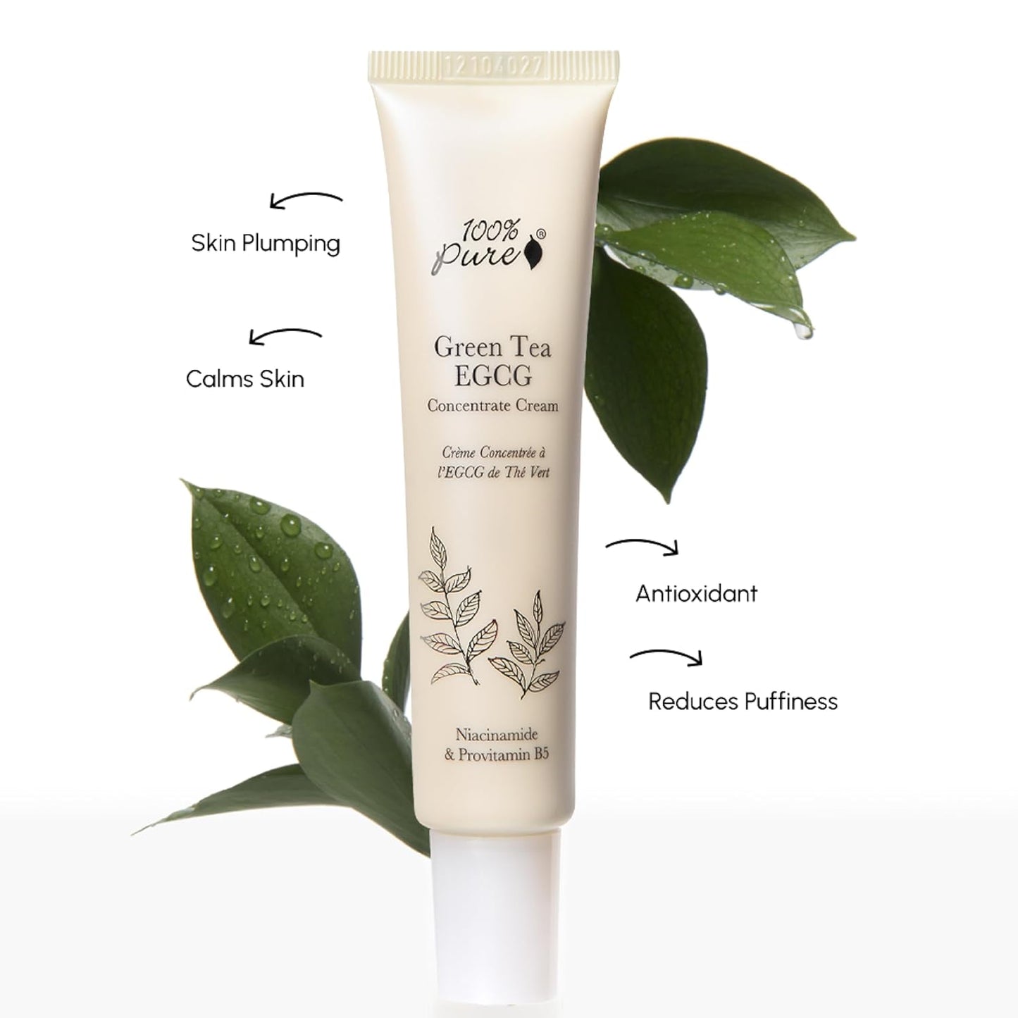 Green Tea EGCG Concentrate Face Cream - Anti-Aging Hydrating Moisturizer with Squalene & Caffeine | 1.4 Oz
