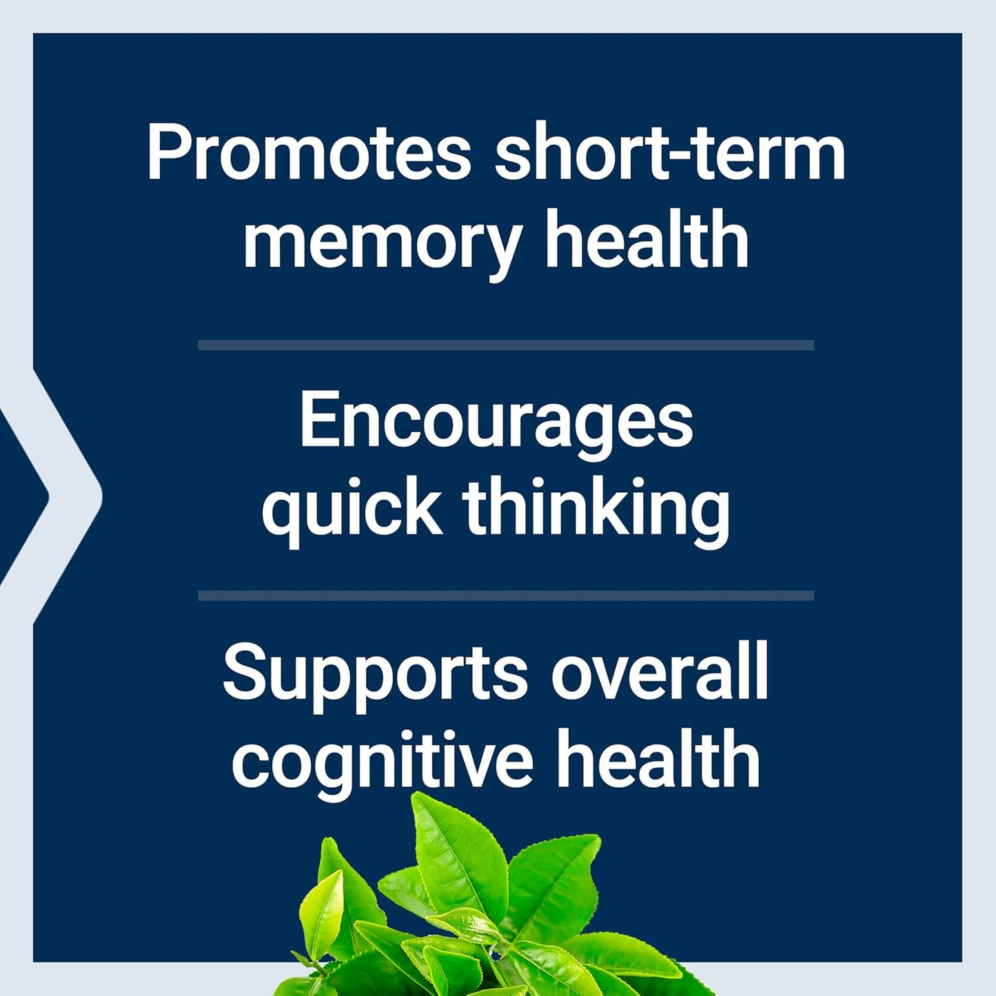 Neuro-Mag Magnesium L-Threonate - Cognitive Health Support, Quick Thinking | 90 Vegetarian Capsules (144 mg)